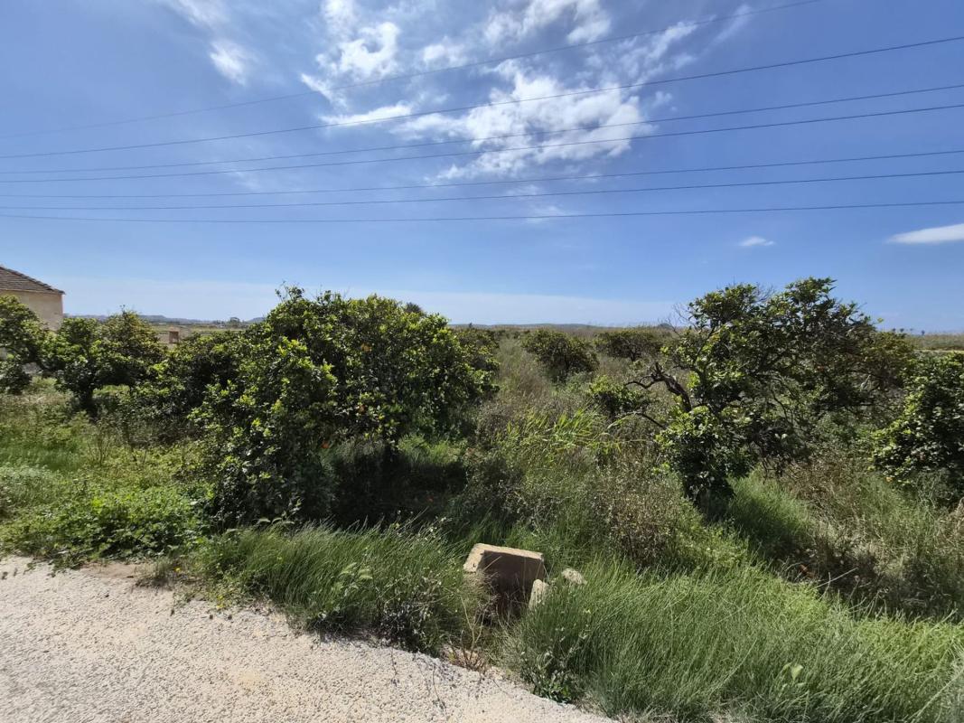 Terreno en venta en Guardamar del Segura, Alicante photo 5