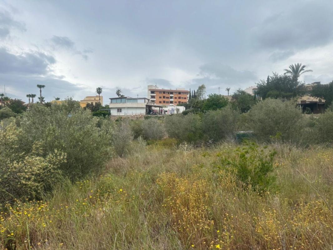 Terreno en venta en Alfaz del Pi, Alicante photo 5