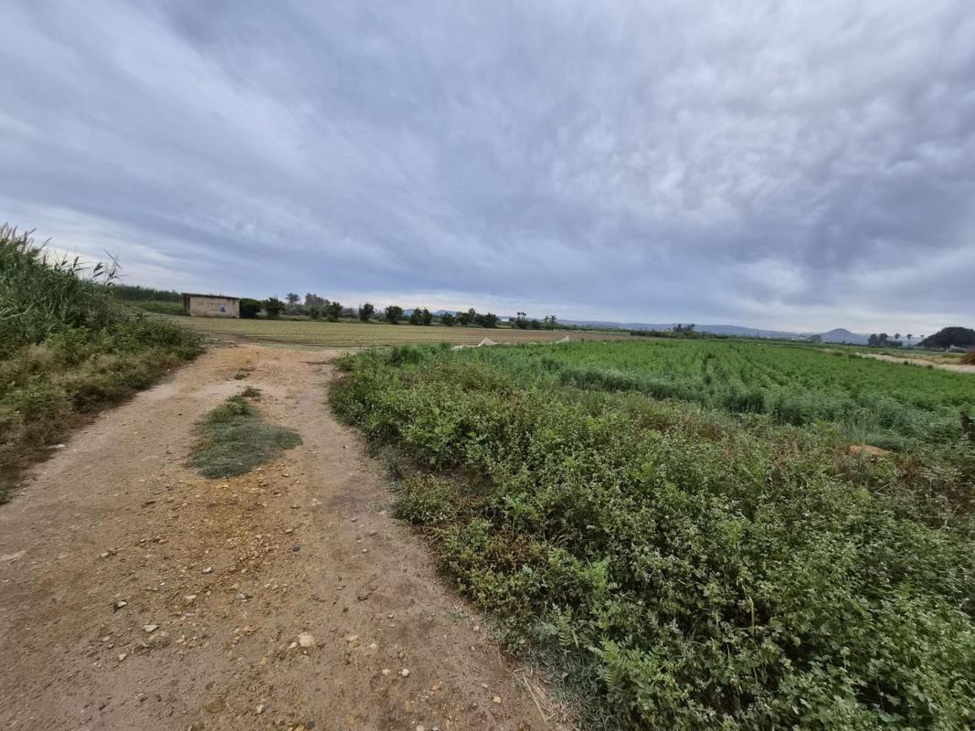 Terreno en venta en Guardamar del Segura, Alicante photo 5