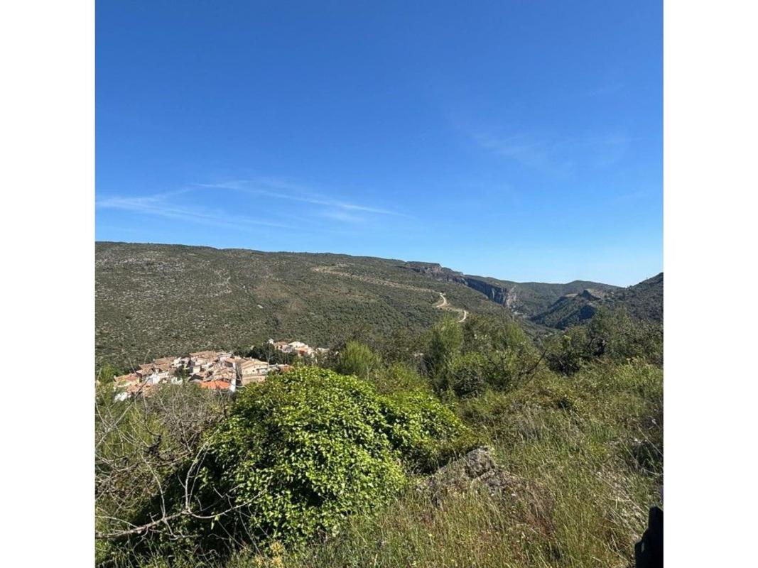 Terreno en venta en Vall de Gallinera, Alicante photo 5