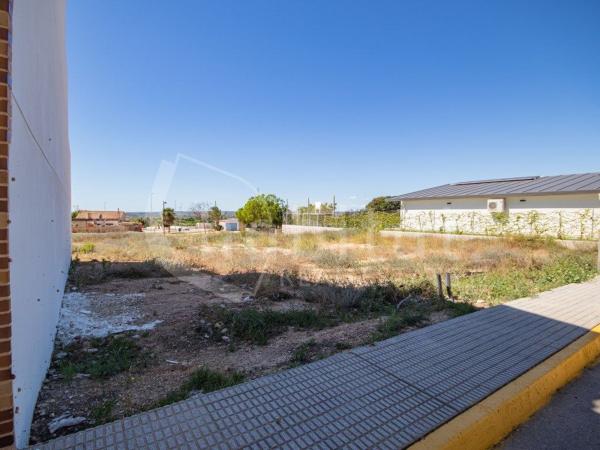 Terreno en Avenida Circunvalación, Los Montesinos photo 3
