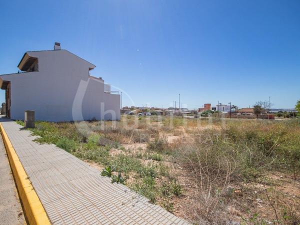 Terreno en Avenida Circunvalación, Los Montesinos photo 4
