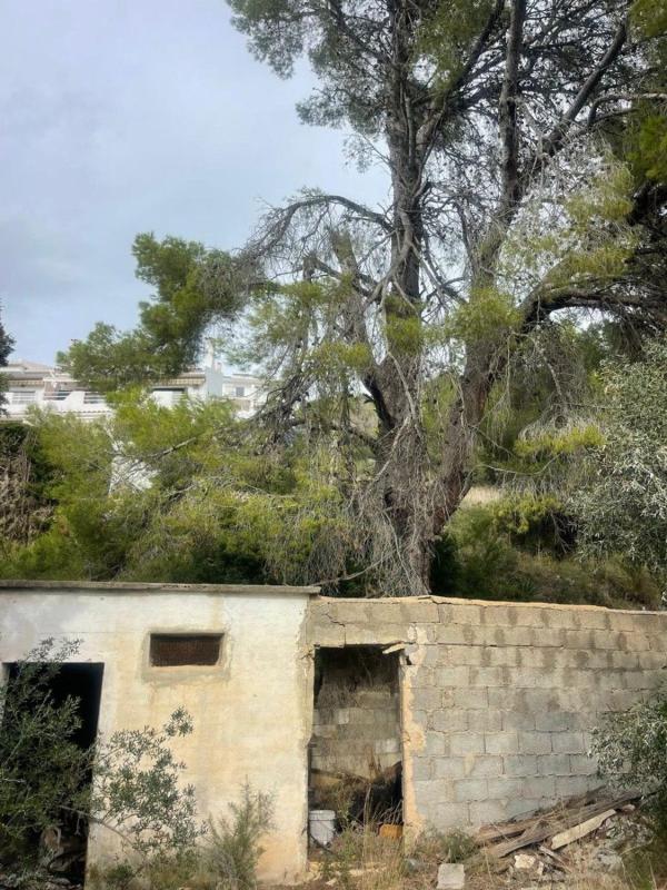 Terreno en venta en Alfaz del Pi, Alicante photo 4