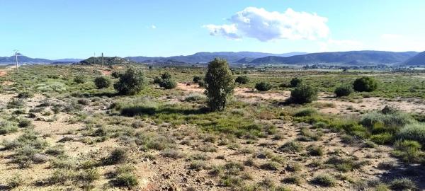 Terreno en Cv-81, Las Virtudes, Villena photo 1