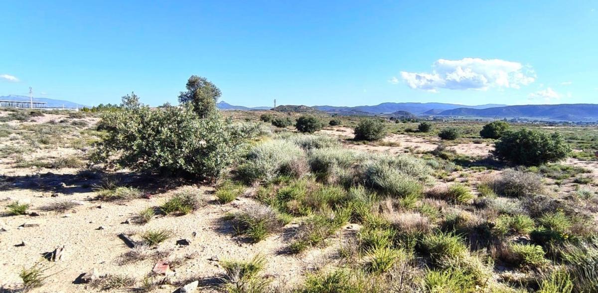Terreno en venta en Villena, Alicante photo 2