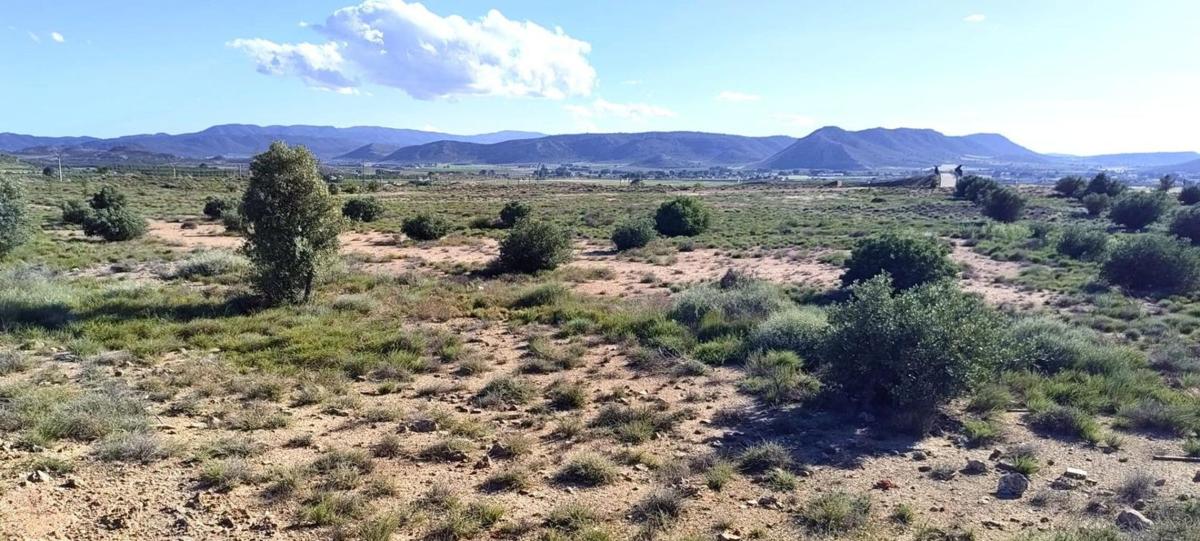 Terreno en venta en Villena, Alicante photo 4