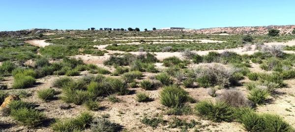 Terreno en Cv-813, Las Tiesas, Villena photo 1