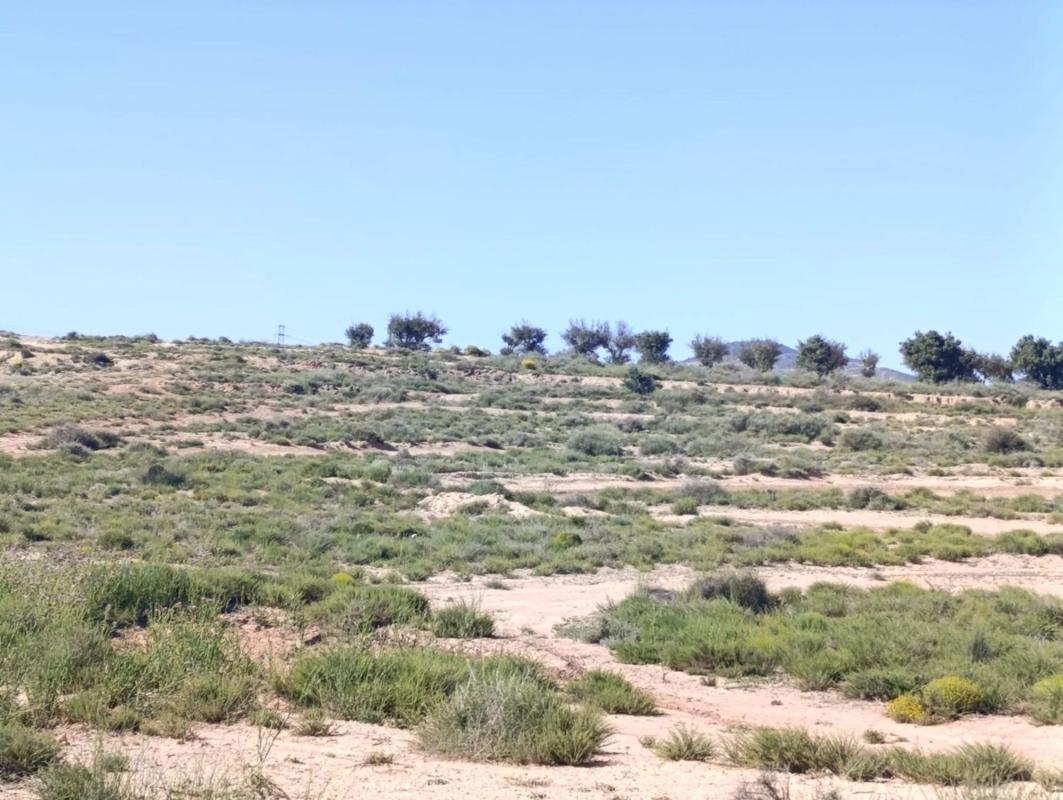 Terreno en venta en Villena, Alicante photo 2