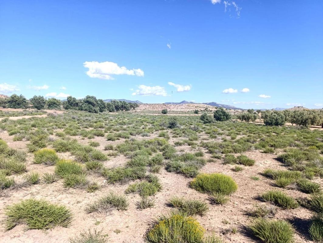 Terreno en venta en Villena, Alicante photo 3
