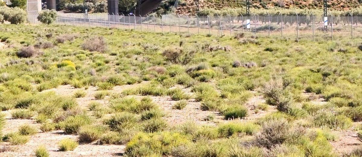 Terreno en venta en Villena, Alicante photo 2