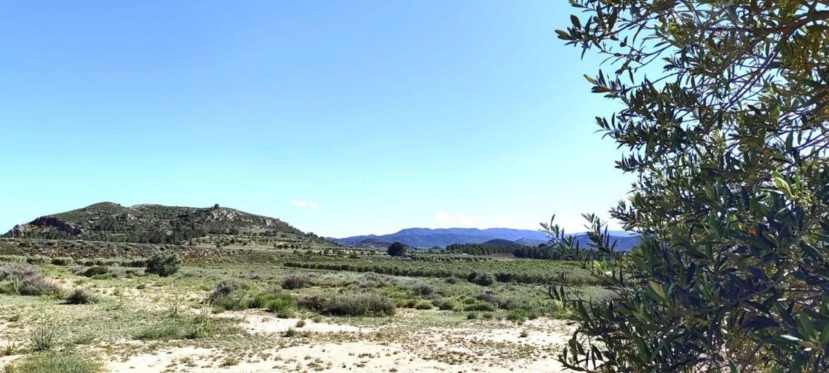 Terreno en venta en Villena, Alicante photo 3