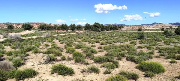 Terreno en Las Tiesas, Villena photo 4