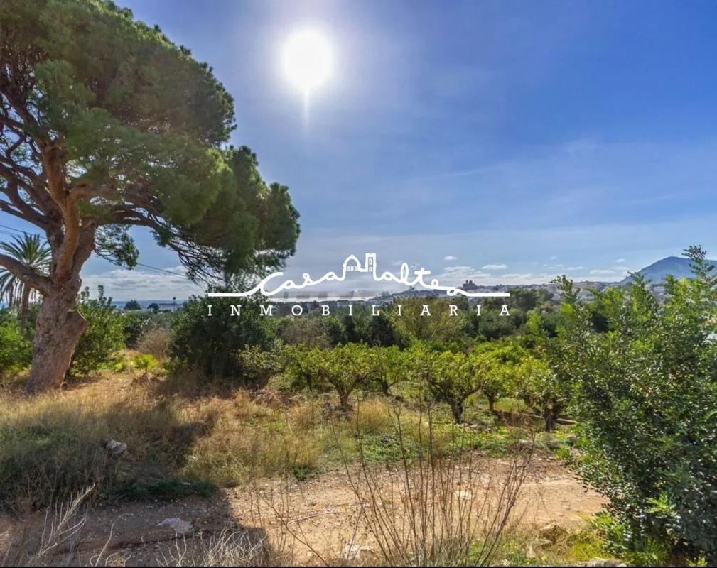 Land for sale in Altea, Alicante photo 2