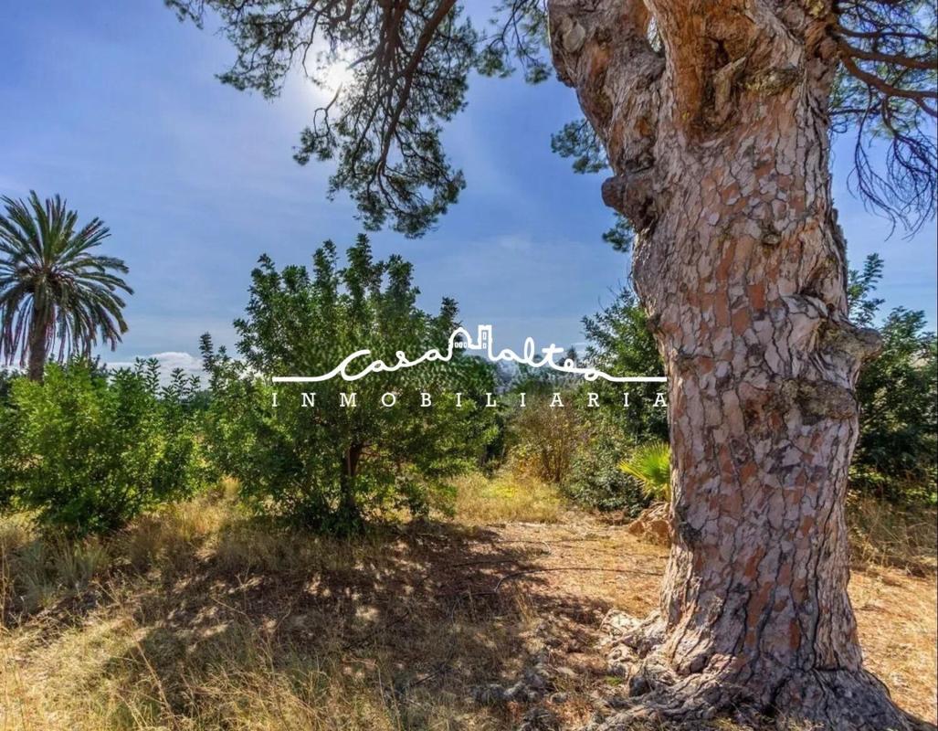 Land for sale in Altea, Alicante photo 4