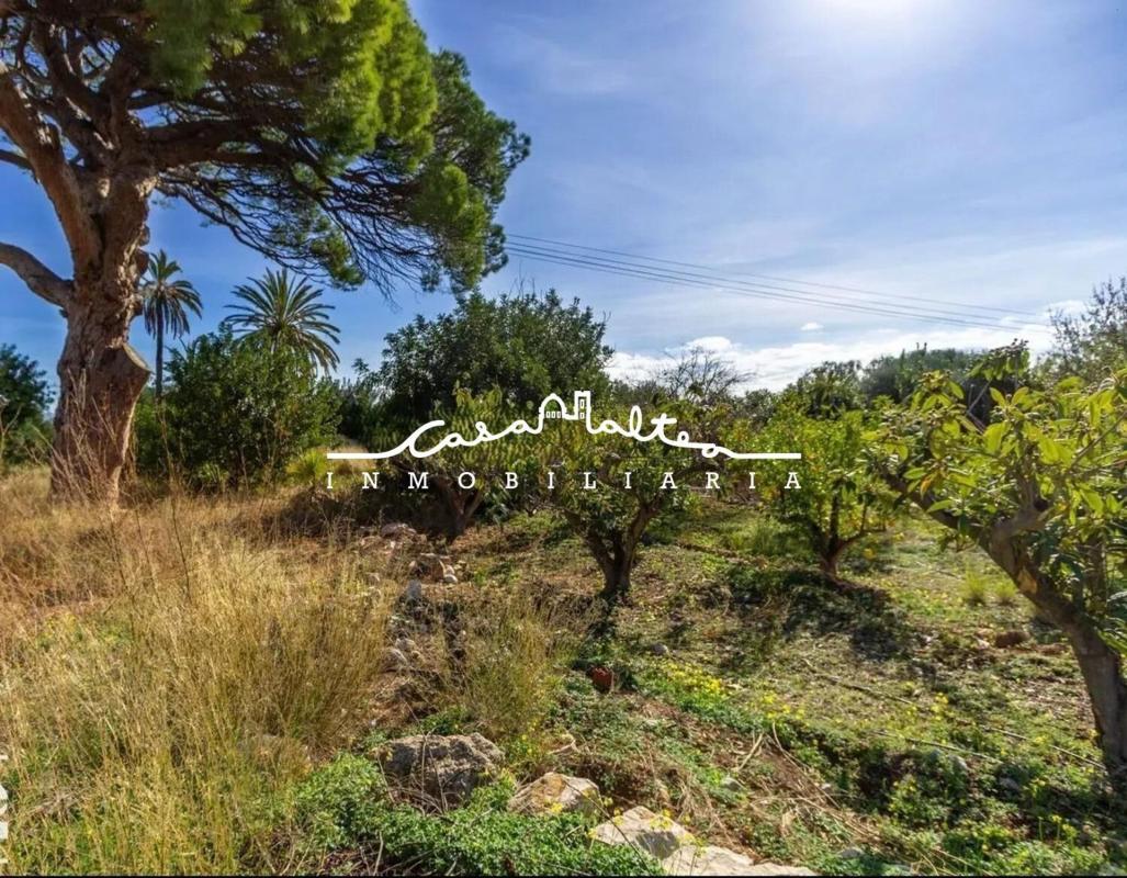 Land for sale in Altea, Alicante photo 5
