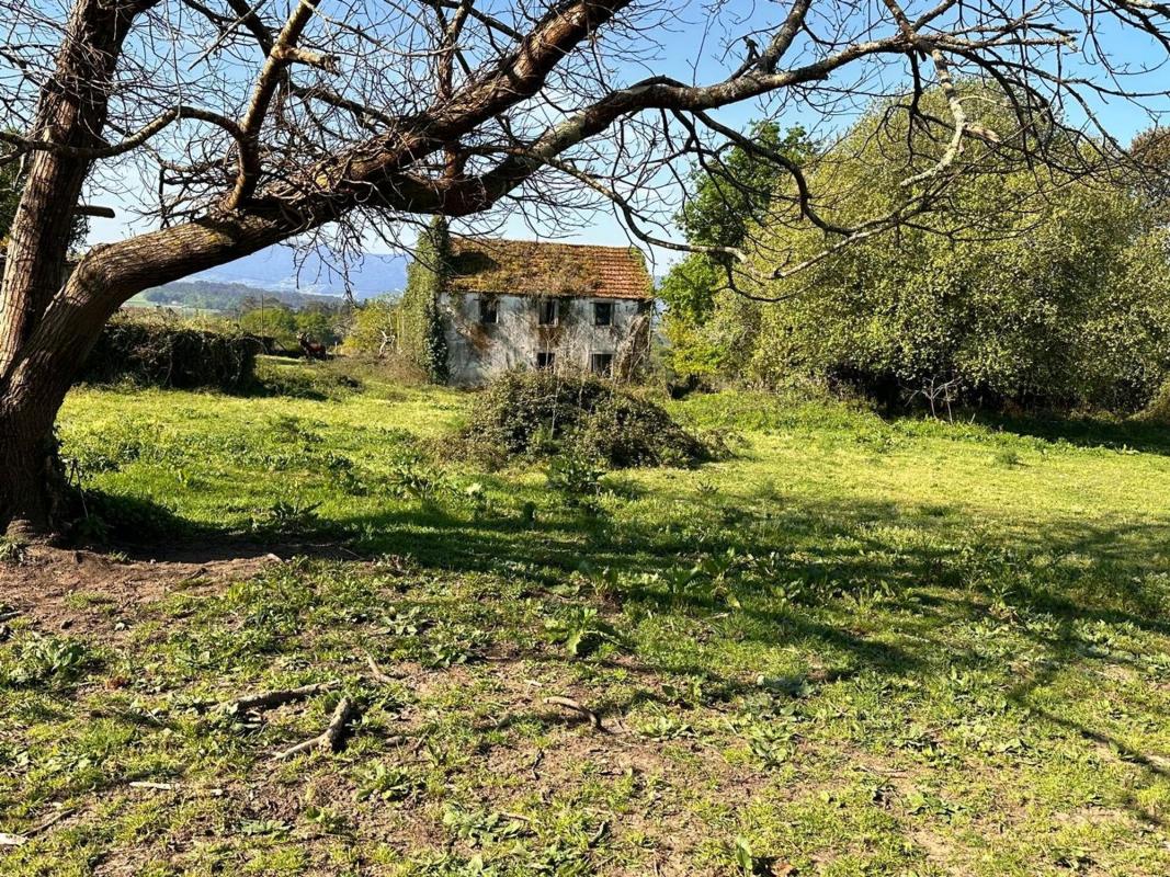 Propiedades en venta y alquiler en España photo 3