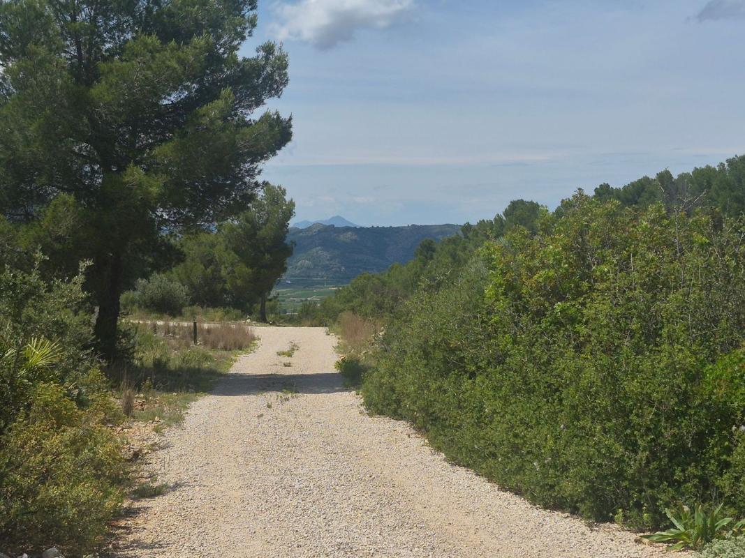 Działka na sprzedaż w Benidoleig, Alicante photo 5