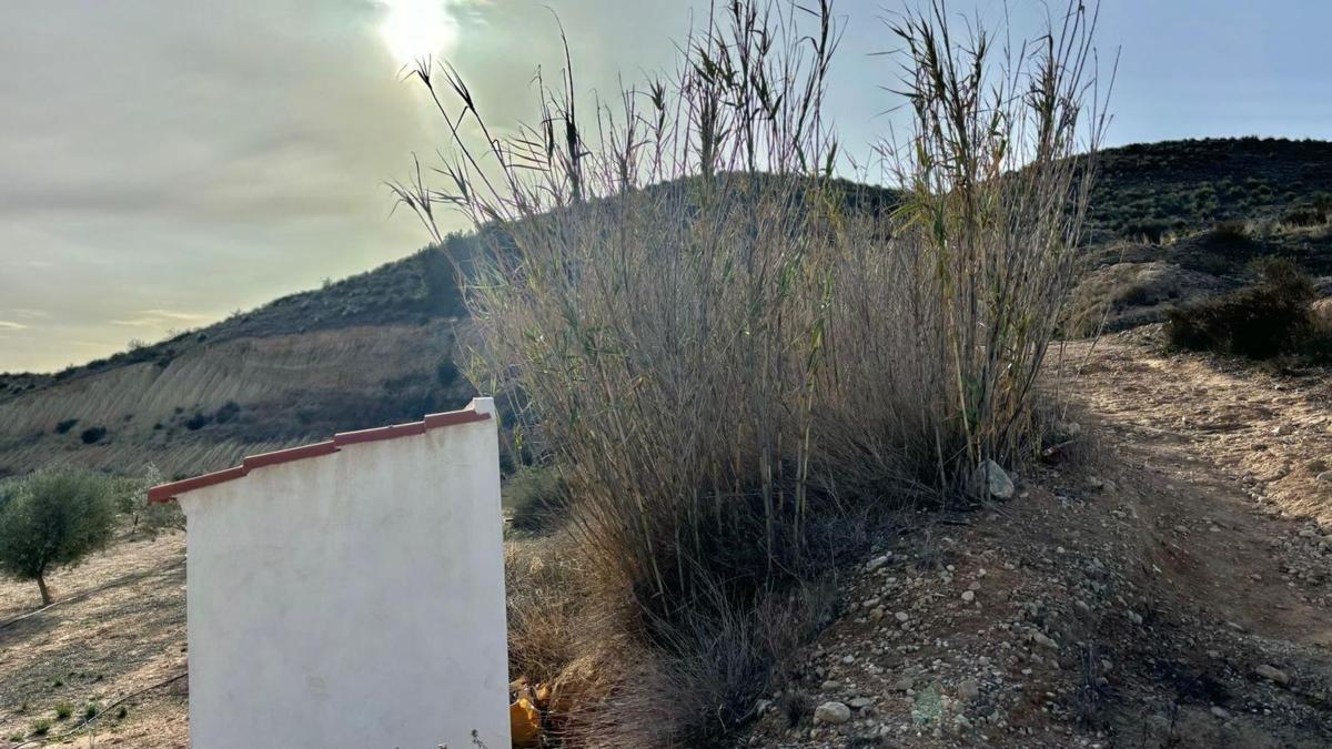 Działka na sprzedaż w Aspe, Alicante photo 3