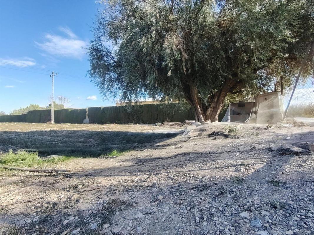 Land for sale in Novelda, Alicante photo 1