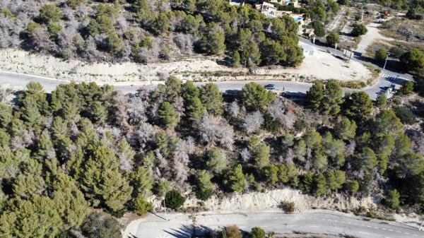 Terreno en Gargasindi, Calpe photo 4