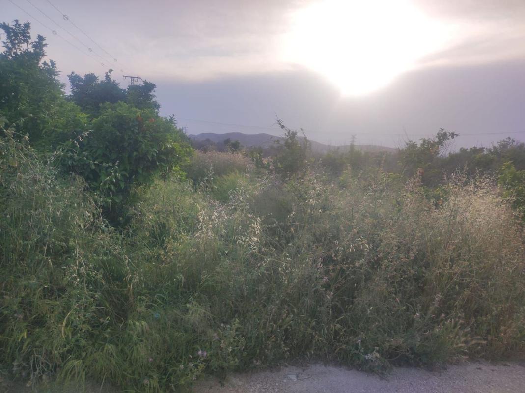 Terreno en venta en Orihuela, Alicante photo 3