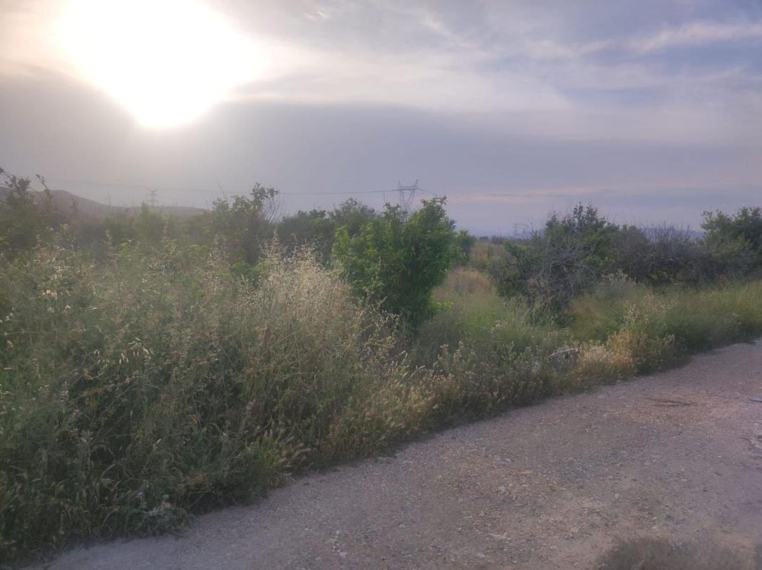 Terreno en venta en Orihuela, Alicante photo 4