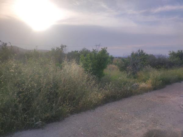 Terreno en Montepinar-La Aparecida-Raiguero, Orihuela photo 4