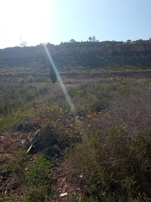 Terreno en venta en Alicante / Alacant, Alicante photo 3