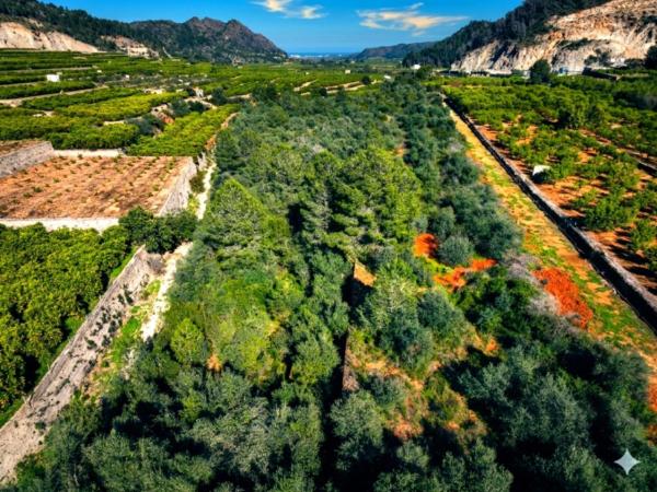 Terreno en Adsubia photo 1