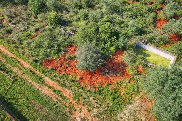 Terreno en Adsubia photo 3