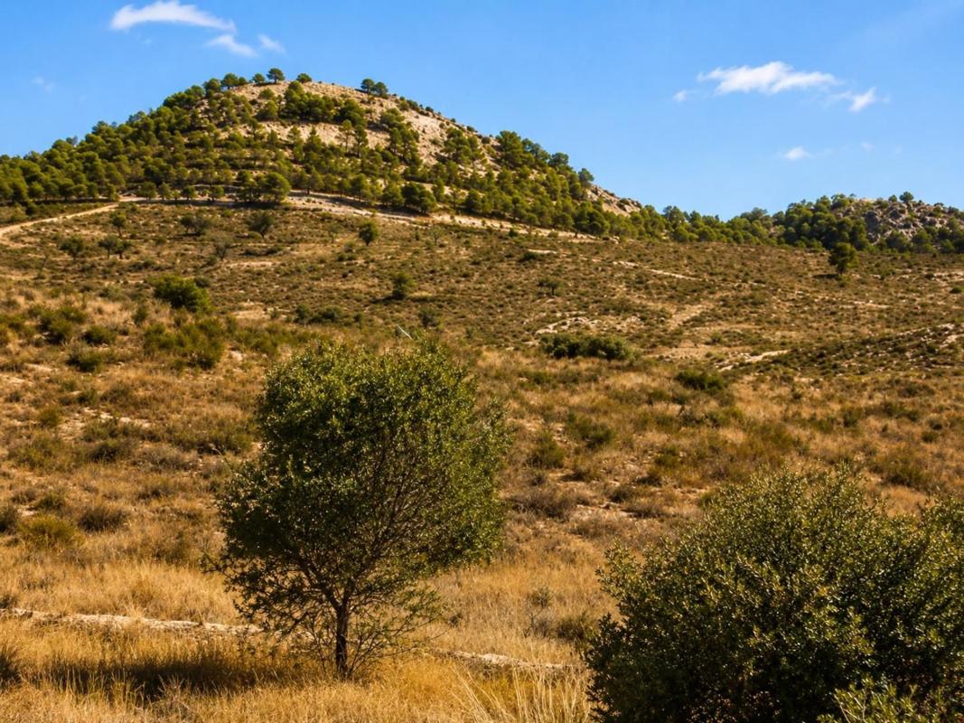 Terreno en venta en Moralet, Alicante photo 2