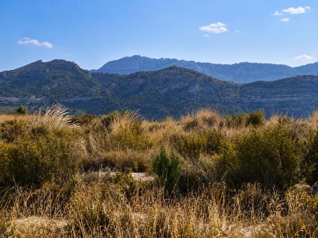 Terreno en venta en Moralet, Alicante photo 3