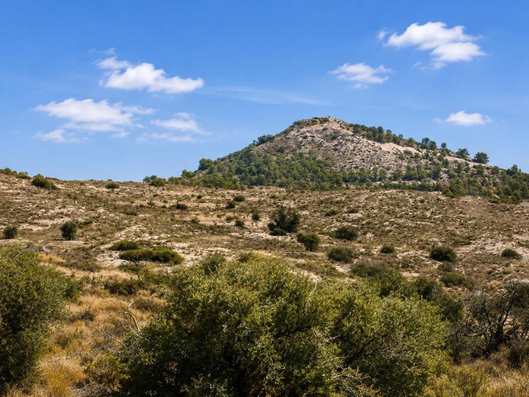 Terreno en venta en Moralet, Alicante photo 4