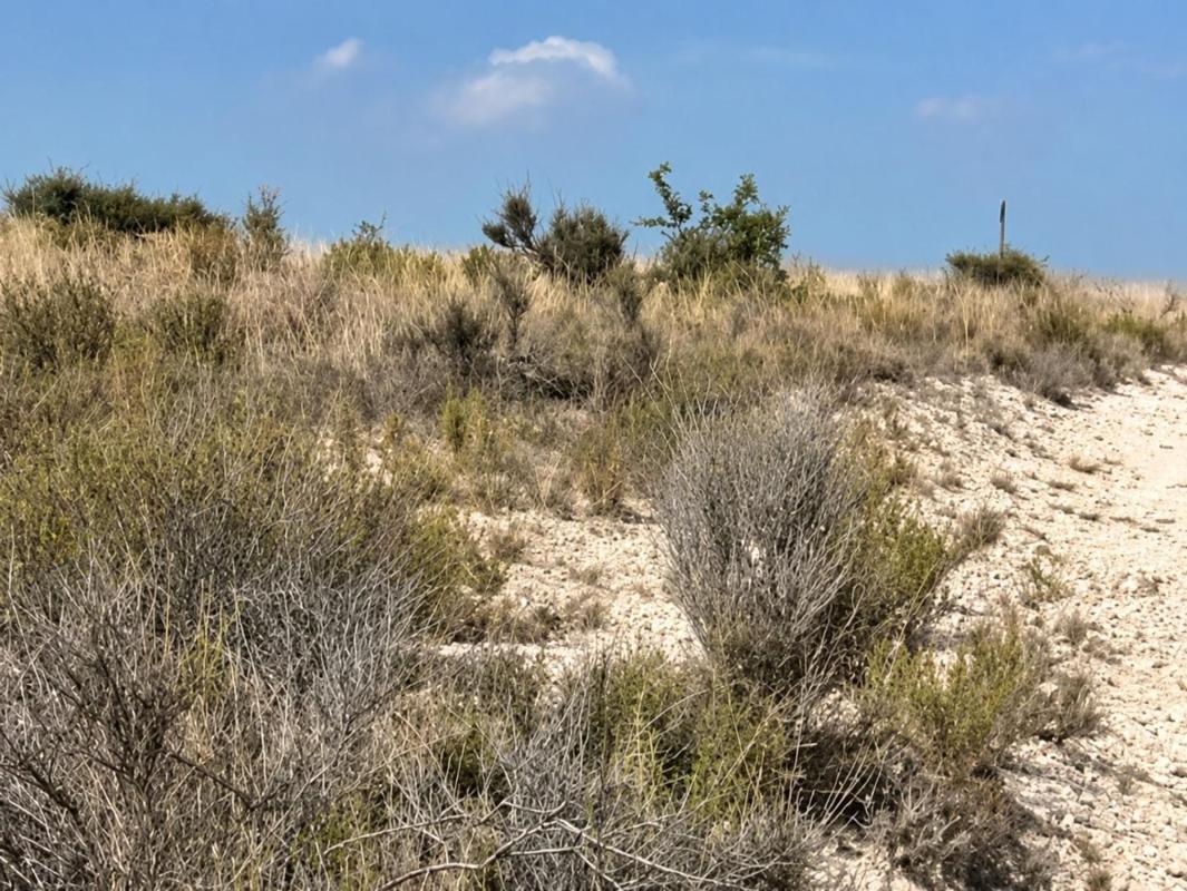 Terreno en venta en Moralet, Alicante photo 5