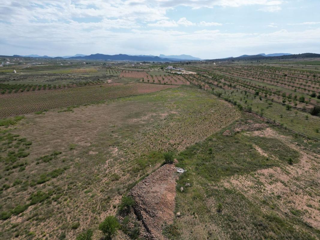 Terreno en venta en Pinoso, Alicante photo 1