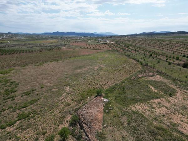 Terreno en Via Sense Nom, Pinoso photo 1