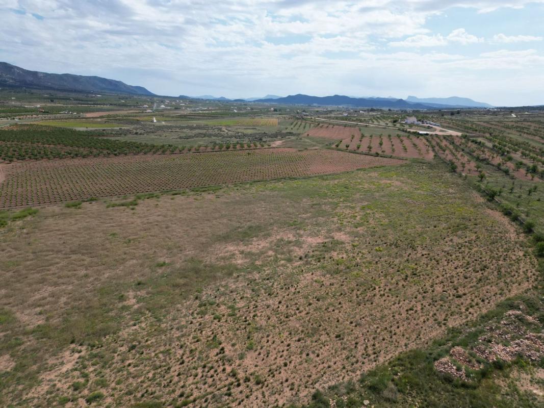 Terreno en venta en Pinoso, Alicante photo 2