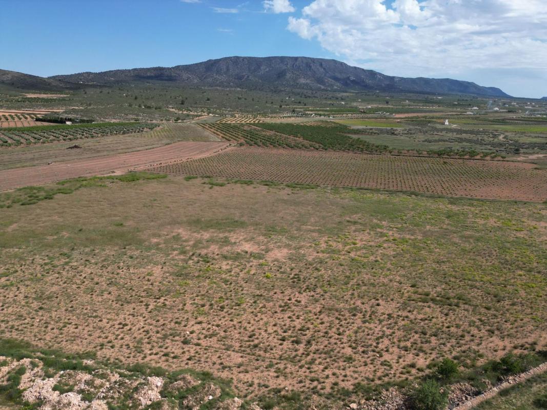 Terreno en venta en Pinoso, Alicante photo 4