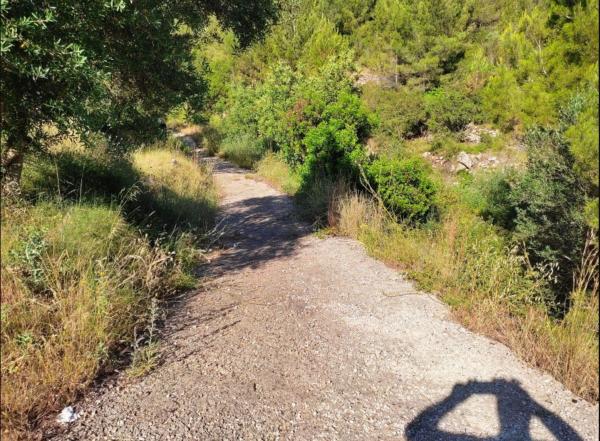Terreno en Calle Ludwing Van Beethoven, 4, Orba photo 2