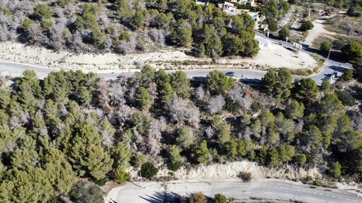 Land for sale in Calpe, Alicante photo 2