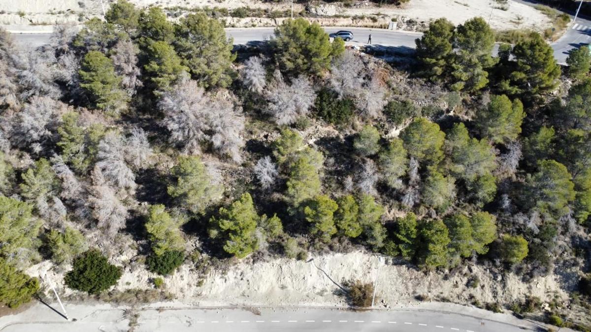 Land for sale in Calpe, Alicante photo 3