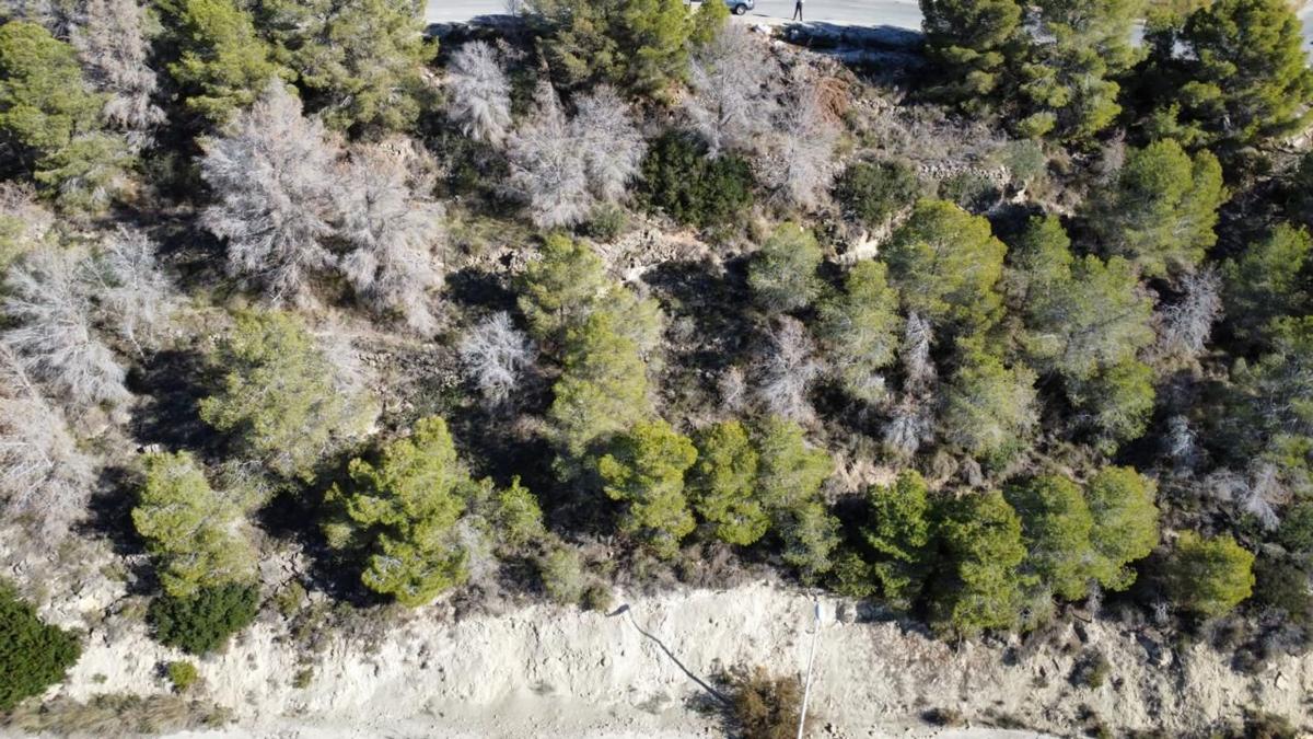 Land for sale in Calpe, Alicante photo 5