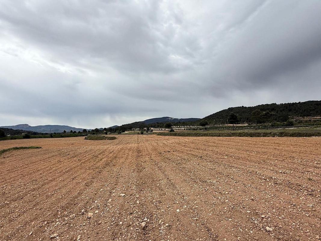 Terreno en venta en Pinoso, Alicante photo 1