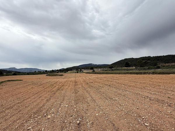 Terreno en Pinoso photo 1