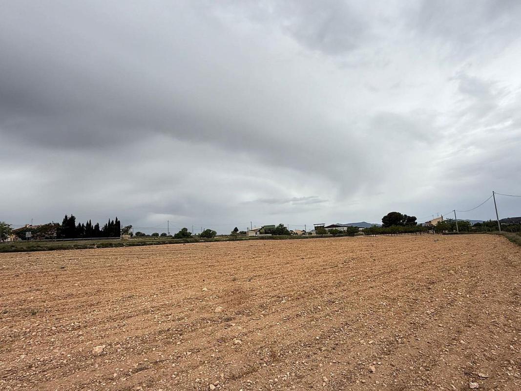 Terreno en venta en Pinoso, Alicante photo 2