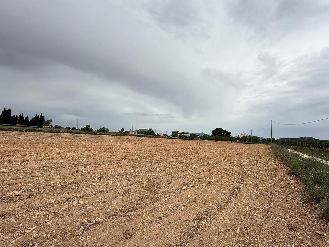 Terreno en venta en Pinoso, Alicante photo 3
