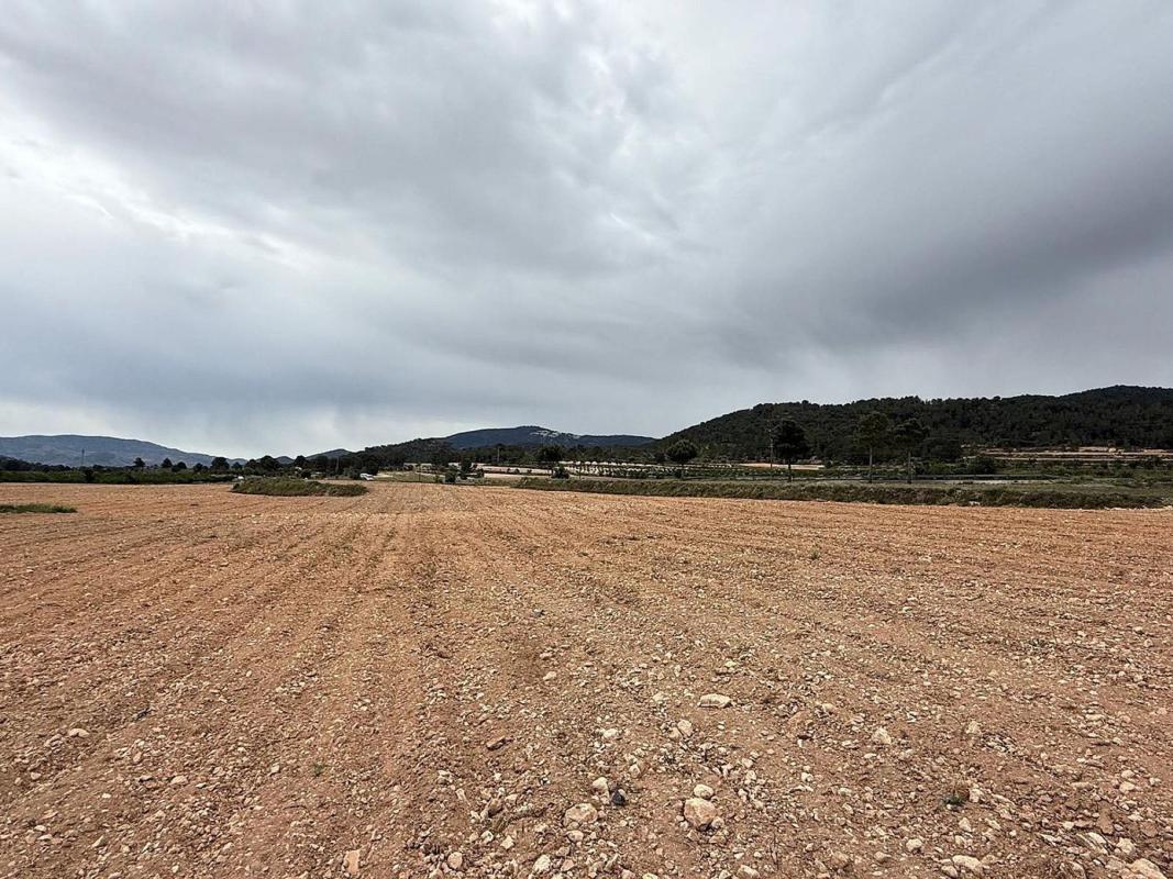 Terreno en venta en Pinoso, Alicante photo 4