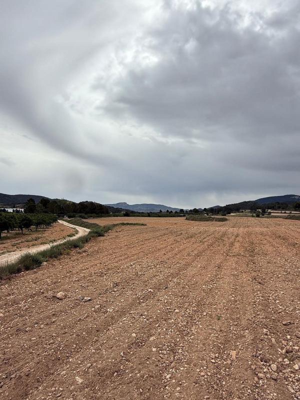 Terreno en venta en Pinoso, Alicante photo 5