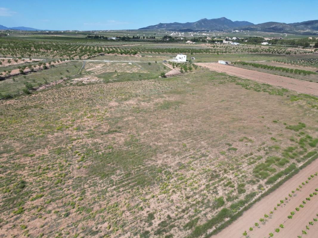 Terreno en venta en Pinoso, Alicante photo 2