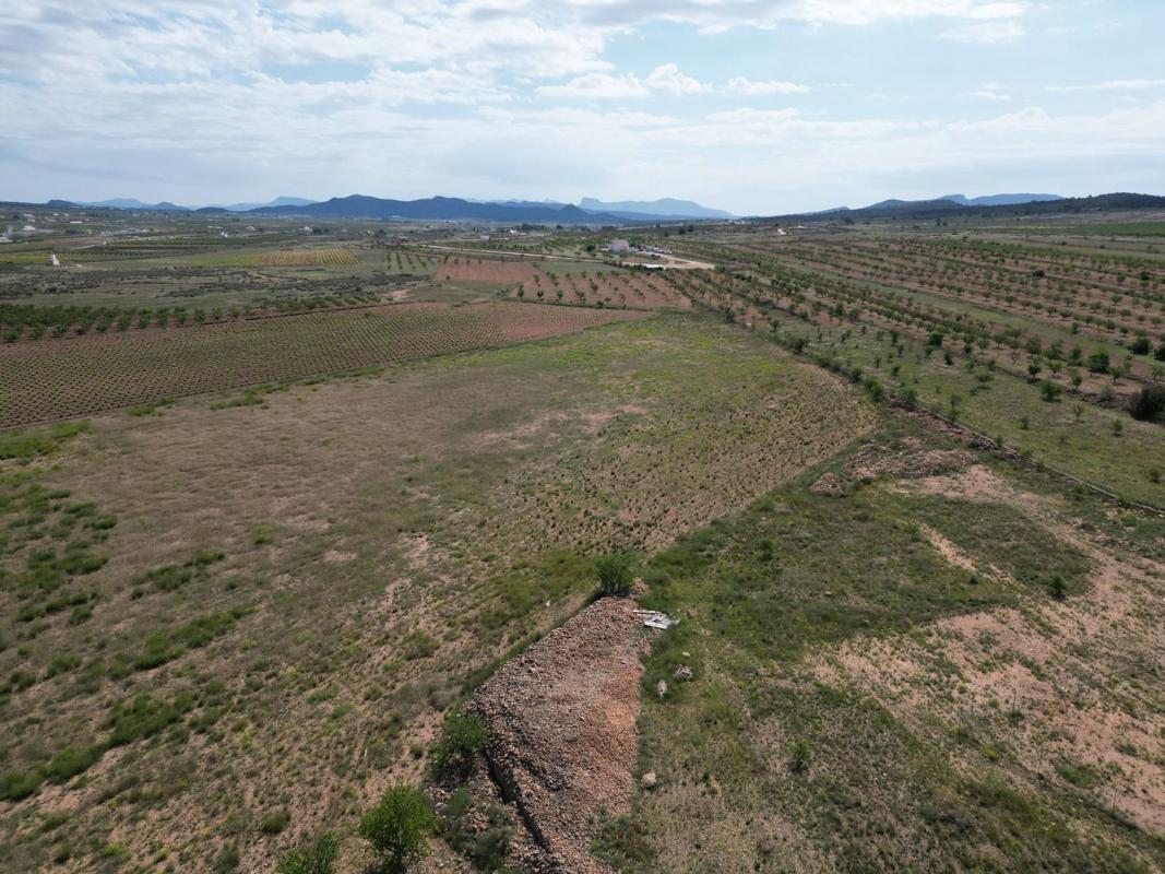 Terreno en venta en Pinoso, Alicante photo 5